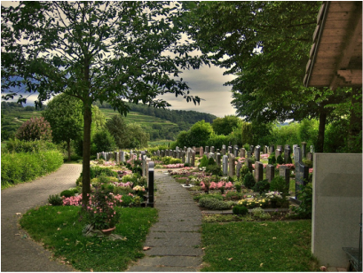 cemetery in spring